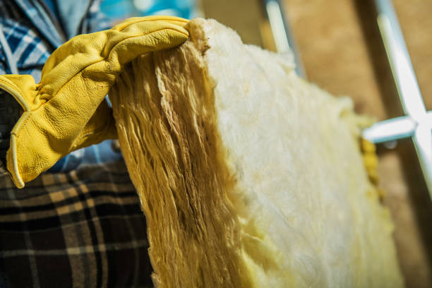 Best Energy-efficient Insulation  in Jackson, WI