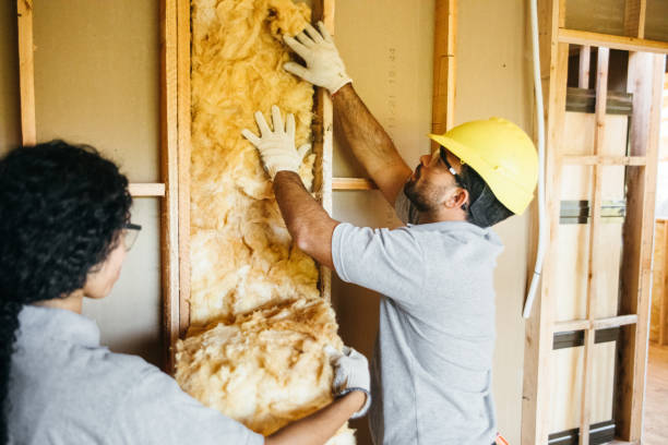 Best Fiberglass Insulation  in Jackson, WI