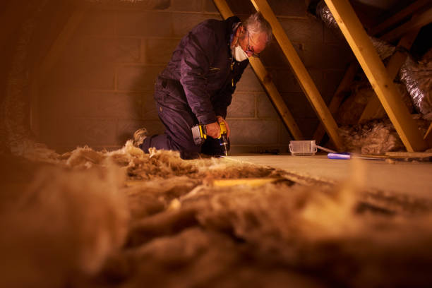 Insulation Replacement Services in Jackson, WI