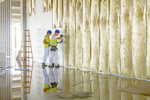 Best Blown-in Insulation  in Jackson, WI